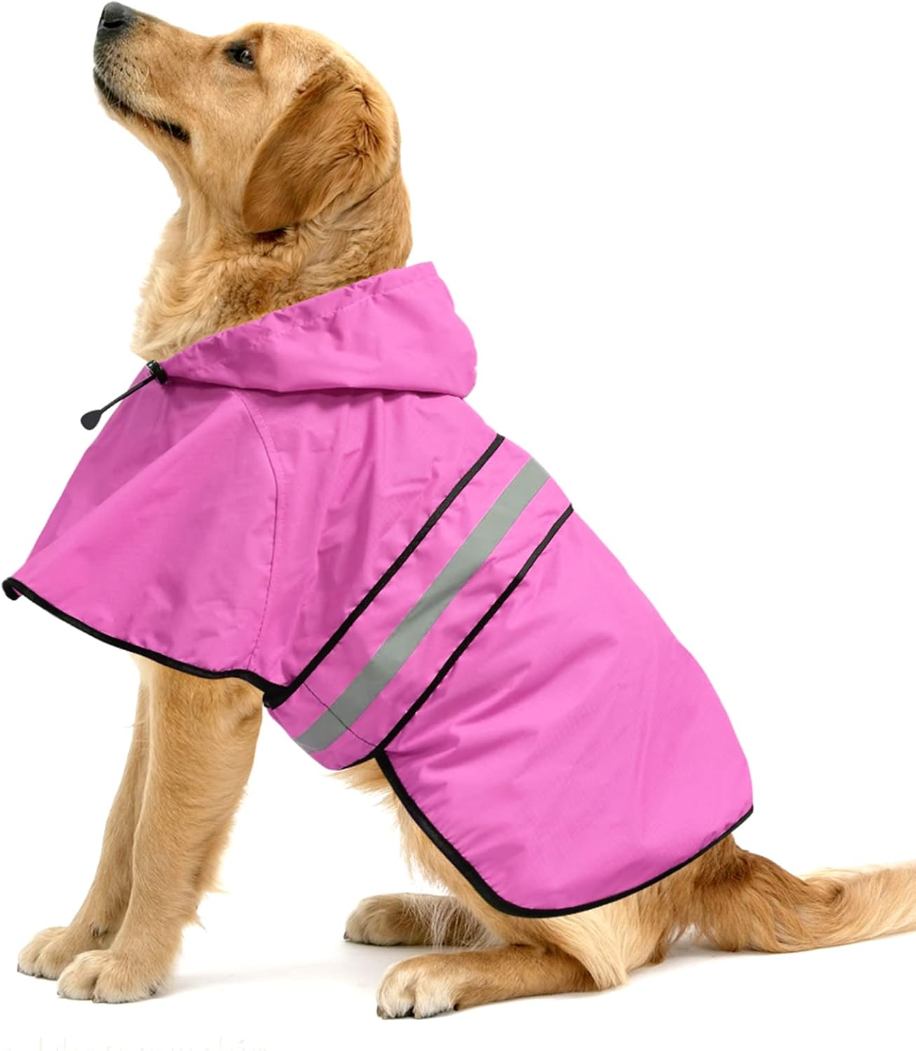 dog raincoat waterproof