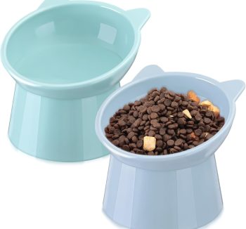 cat food for kittens