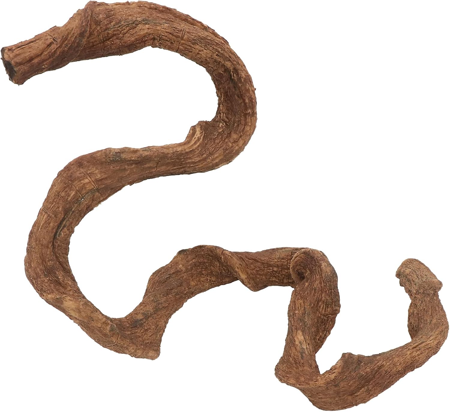 AQUA KT Reptile Twist Climber Vine Bendable Branch for Lizard Snake Bearded Dragon Crested Gecko Climbing Accessory Terrarium Habitat Decoration - Happypetzone.online - Image 6
