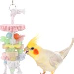 bird calcium supplement