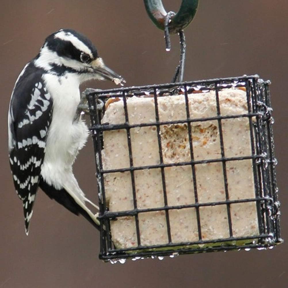 More Birds Suet Cage Bird Feeder, Fruit and Suet Feeder, Single Cake Capacity ,Black - Happypetzone.online - Image 6