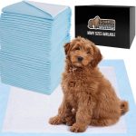 dog training pads