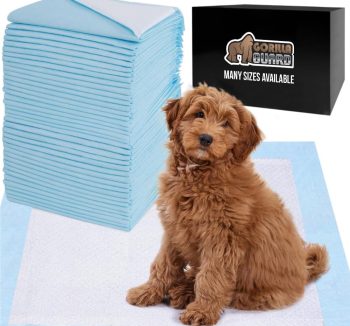 dog training pads