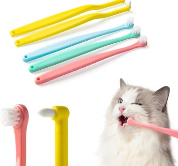 small pet health care