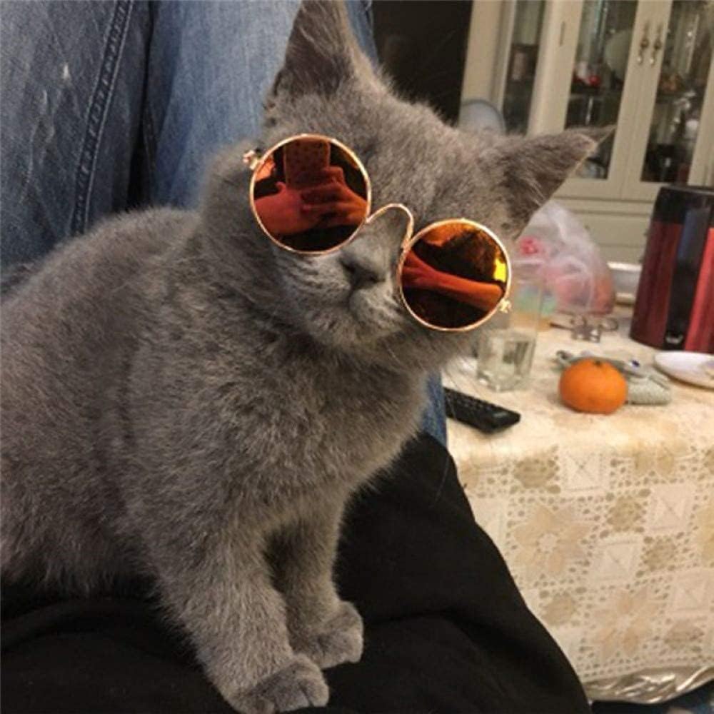 2pcs Random Color Small Cat Kitten Glasses Pet Glasses Dog Sunglasses Pet Supplies Kittens Pet Sunglasses 3 cm/1.1 Inch Cosplay Costume Photos Props - Happypetzone.online - Image 4