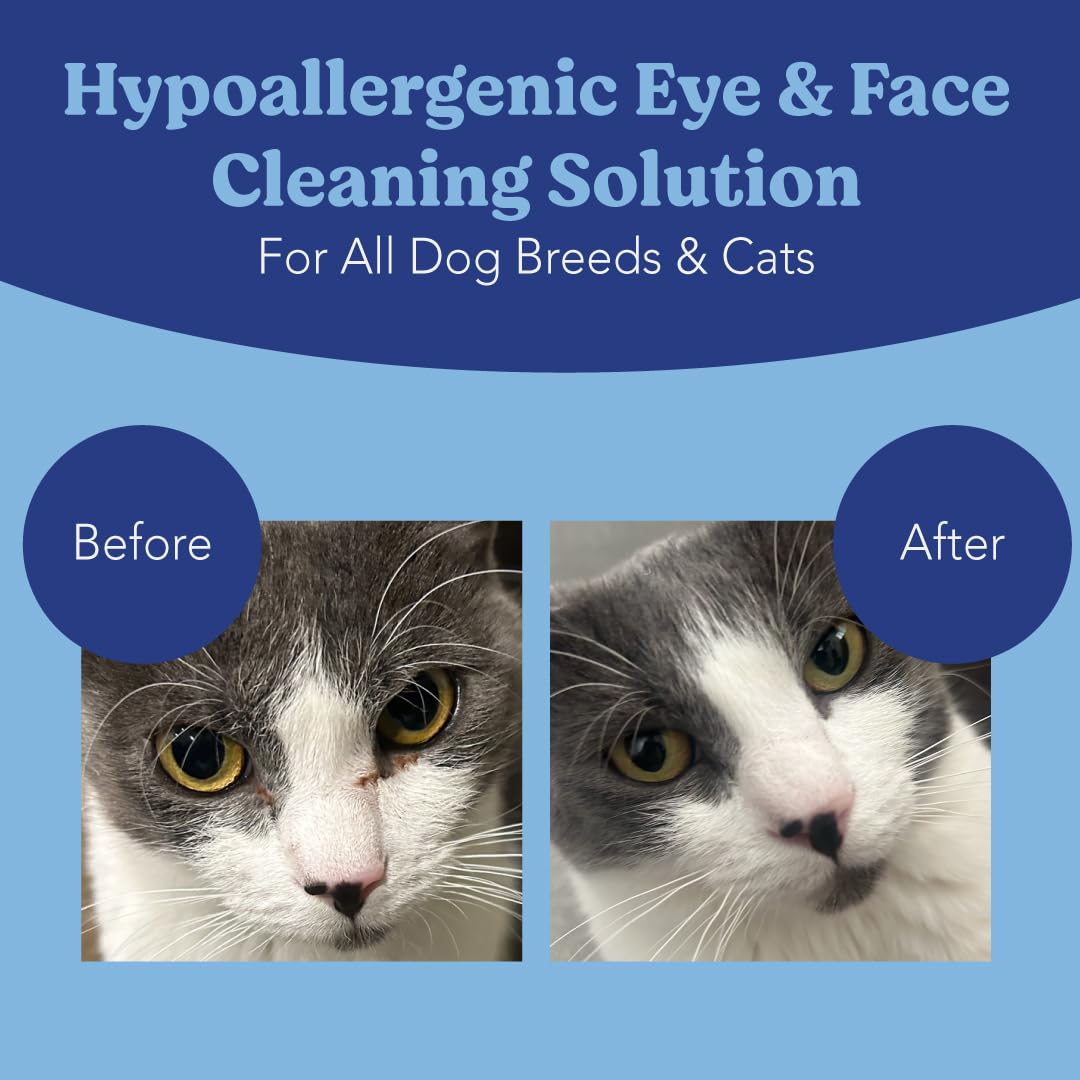 Angel's Eyes Gentle Tear Stain Wipes for Dogs and Cats - 100 Ct - Presoaked Textured (AEGTSW100) - Happypetzone.online - Image 5