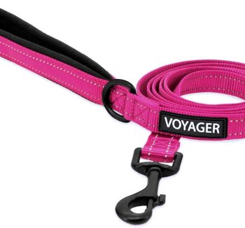 dog leash durable