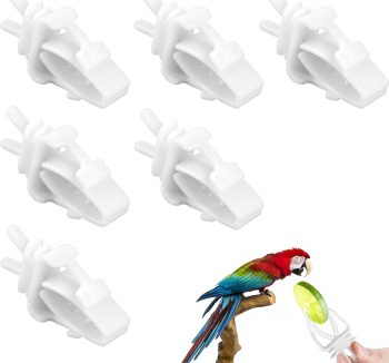 bird food bulk cheap