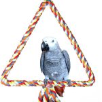 bird swing durable