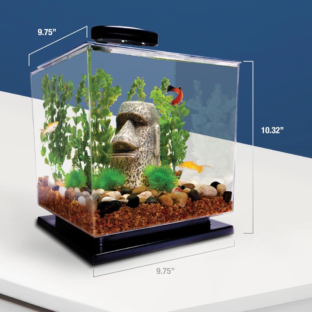 Tetra 3 Gallon Fish Tank, Aquarium Starter Kit with Pedestal Base, LED Light and Filter, For small tropical fish, guppies, goldfish, or betta - Happypetzone.online - Image 8