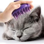 cat grooming brush