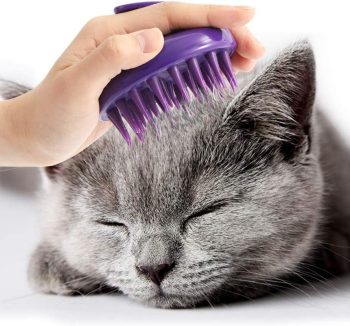 cat grooming brush