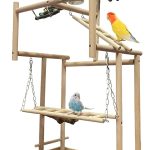 bird play perch stand