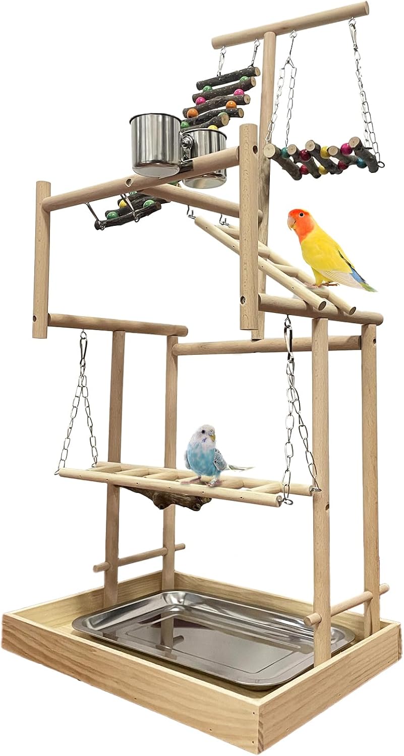bird play perch stand