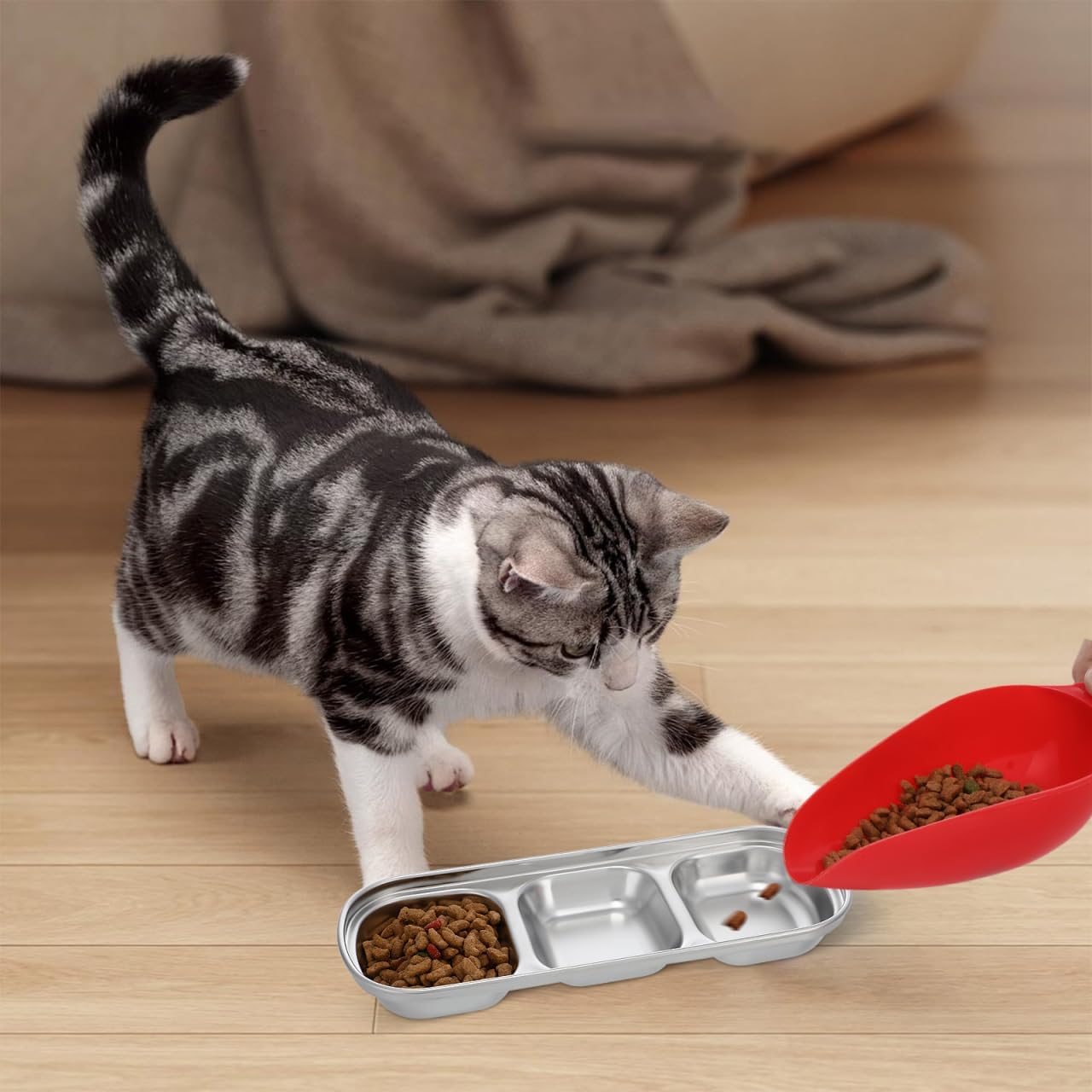 Compartment Pet Tray Food Bowls: 2pcs Stainless Steel Cat Bowl Divided Pet Dishes Bowls for Kitten Small Dogs Food Water Feeder - Happypetzone.online - Image 5