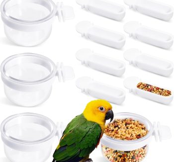 canary bird food