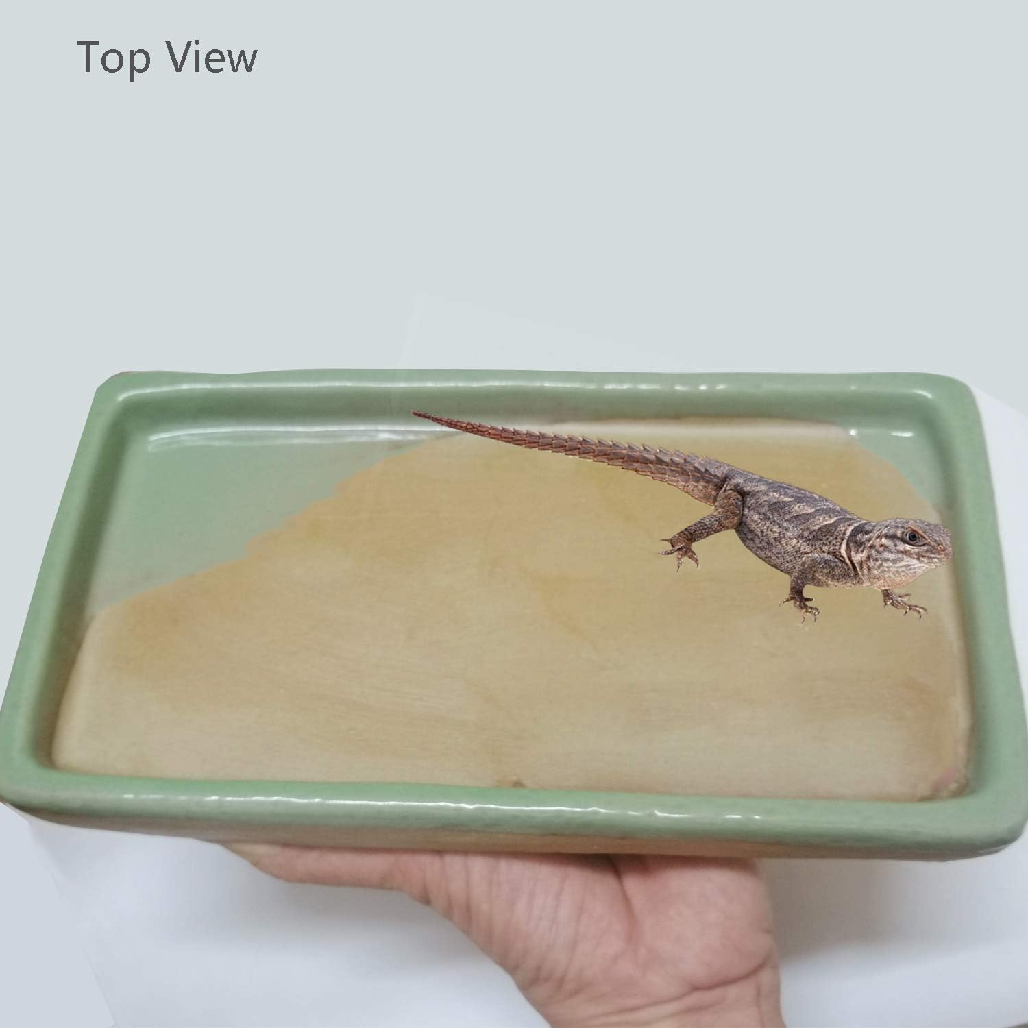 Reptile Feeding Dish Bowl Food and Water Bowl Tortoise Dish Reptile Tank Decor, Heavy Duty Ceramic Feeding Dish, Large Size - Happypetzone.online - Image 5