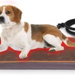 heated dog bed winter