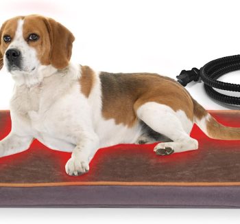 heated dog bed winter