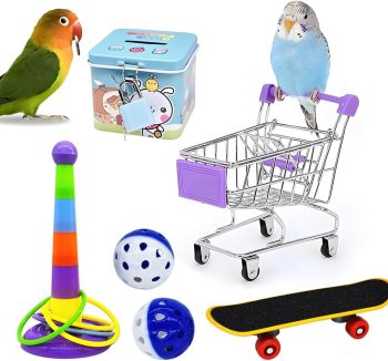 bird toy set bundle