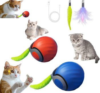 smart cat toys
