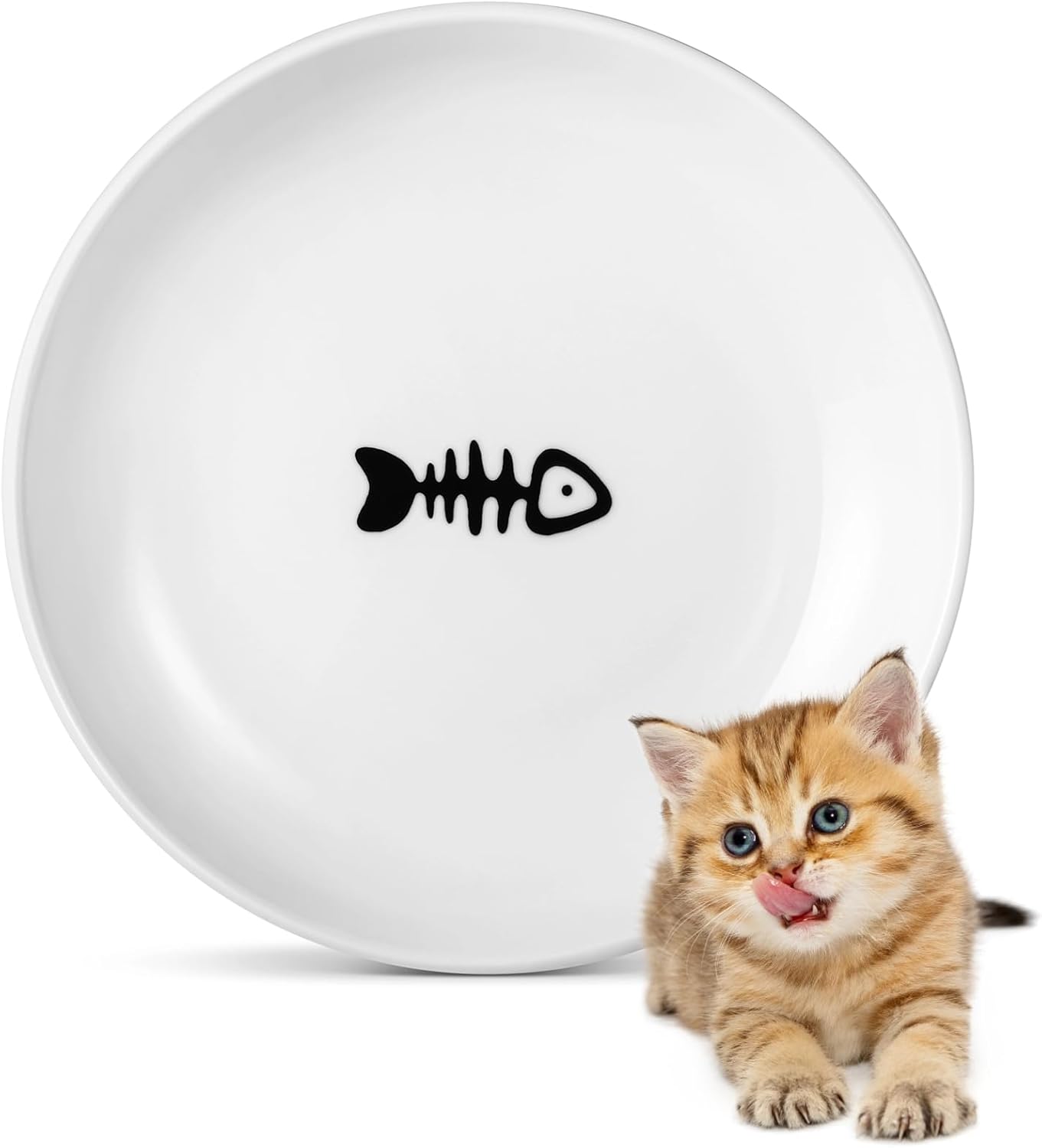 cat food for kittens