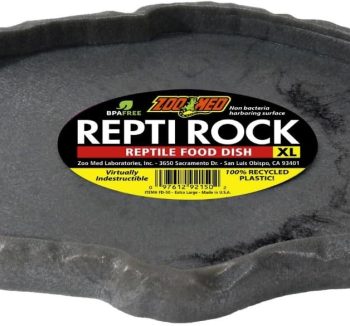 reptile feeding dish