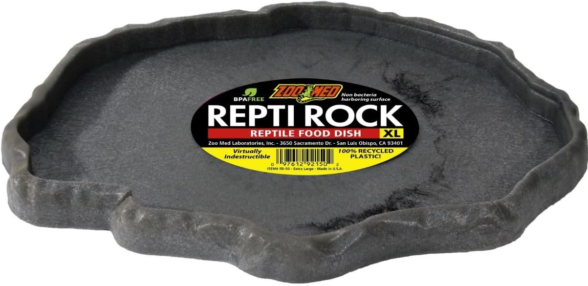 reptile feeding dish