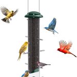 finch bird food