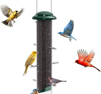 finch bird food