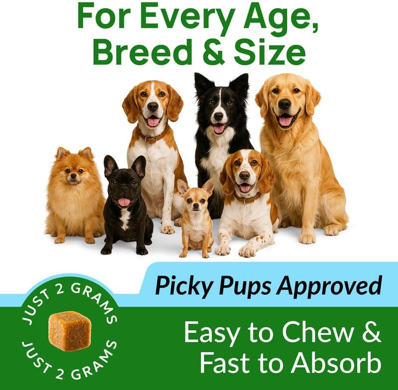 PAWFECTCHEW Green Grass Dog Chews with Probiotics – Lawn Burn Support – Dog Urine Neutralizer for Grass – Pee Spot Control – Gut & Urinary Health – 240Ct - Happypetzone.online - Image 6