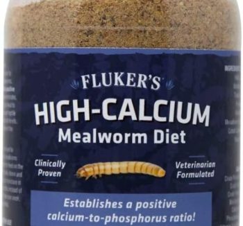 mealworms for reptiles