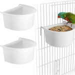 bird food for parrots