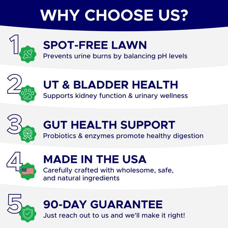 Green Grass Dog Chews for Lawn Protection – Dog Urine Neutralizer for Grass Burn Spots – Lawn Restore Treats – Made in USA – 120Ct Soft Chews - Happypetzone.online - Image 5