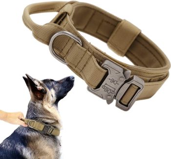 dog collar nylon strong