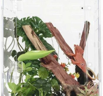 reptile tank acrylic