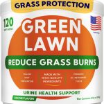 dog digestive enzymes