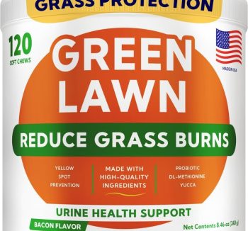 dog digestive enzymes
