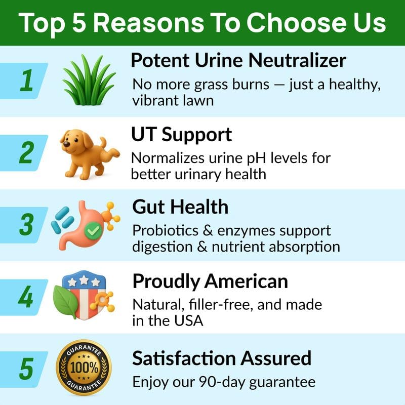 PAWFECTCHEW Green Grass Dog Chews with Probiotics – Lawn Burn Support – Dog Urine Neutralizer for Grass – Pee Spot Control – Gut & Urinary Health – 240Ct - Happypetzone.online - Image 7