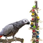 bird perch amazon best