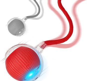 cat toy ball rolling