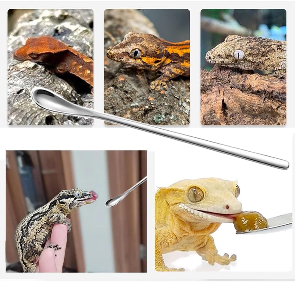 3PCS Reptile Crested Gecko Food Spoons,8.8" Stainless Steel Reptile Spoon,Fruit Mixing StirringFood Feeding Spoons Long Handle Feeding Tool Fit Gecko Lizard Gargoyle Bearded and Other Small Animals - Happypetzone.online - Image 3