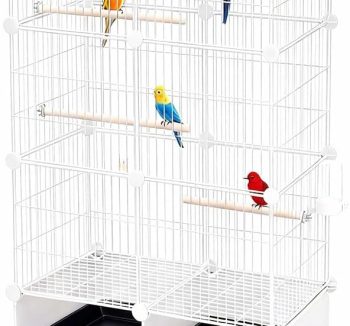 bird cage indoor