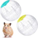 hamster ball exercise