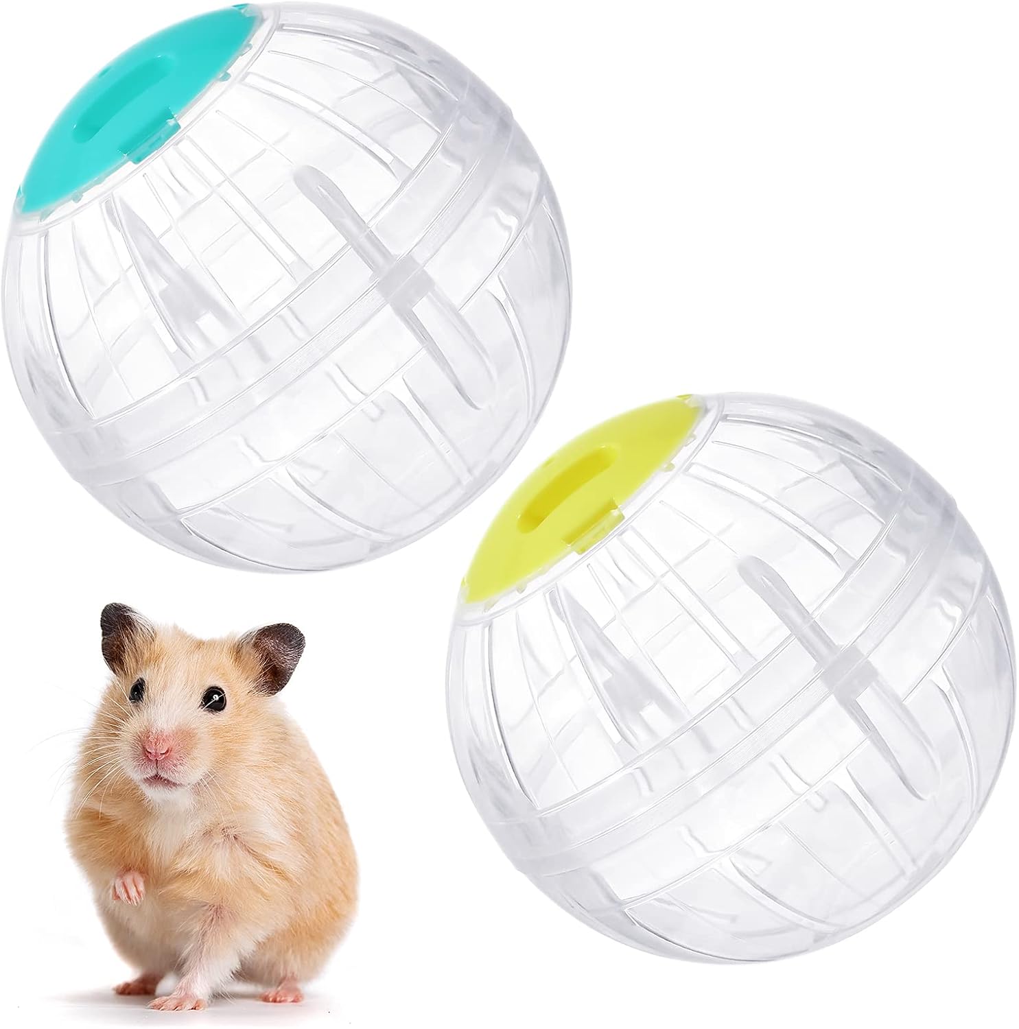 hamster ball exercise