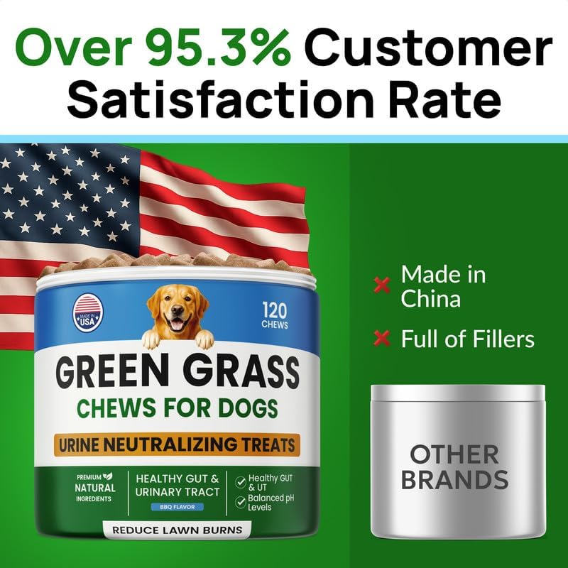 PAWFECTCHEW Green Grass Dog Chews with Probiotics – Lawn Burn Support – Dog Urine Neutralizer for Grass – Pee Spot Control – Gut & Urinary Health – 240Ct - Happypetzone.online - Image 8