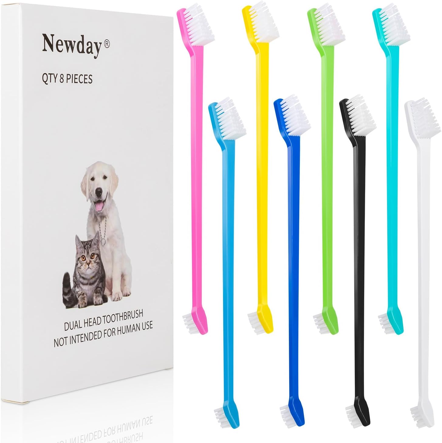 small pet health care