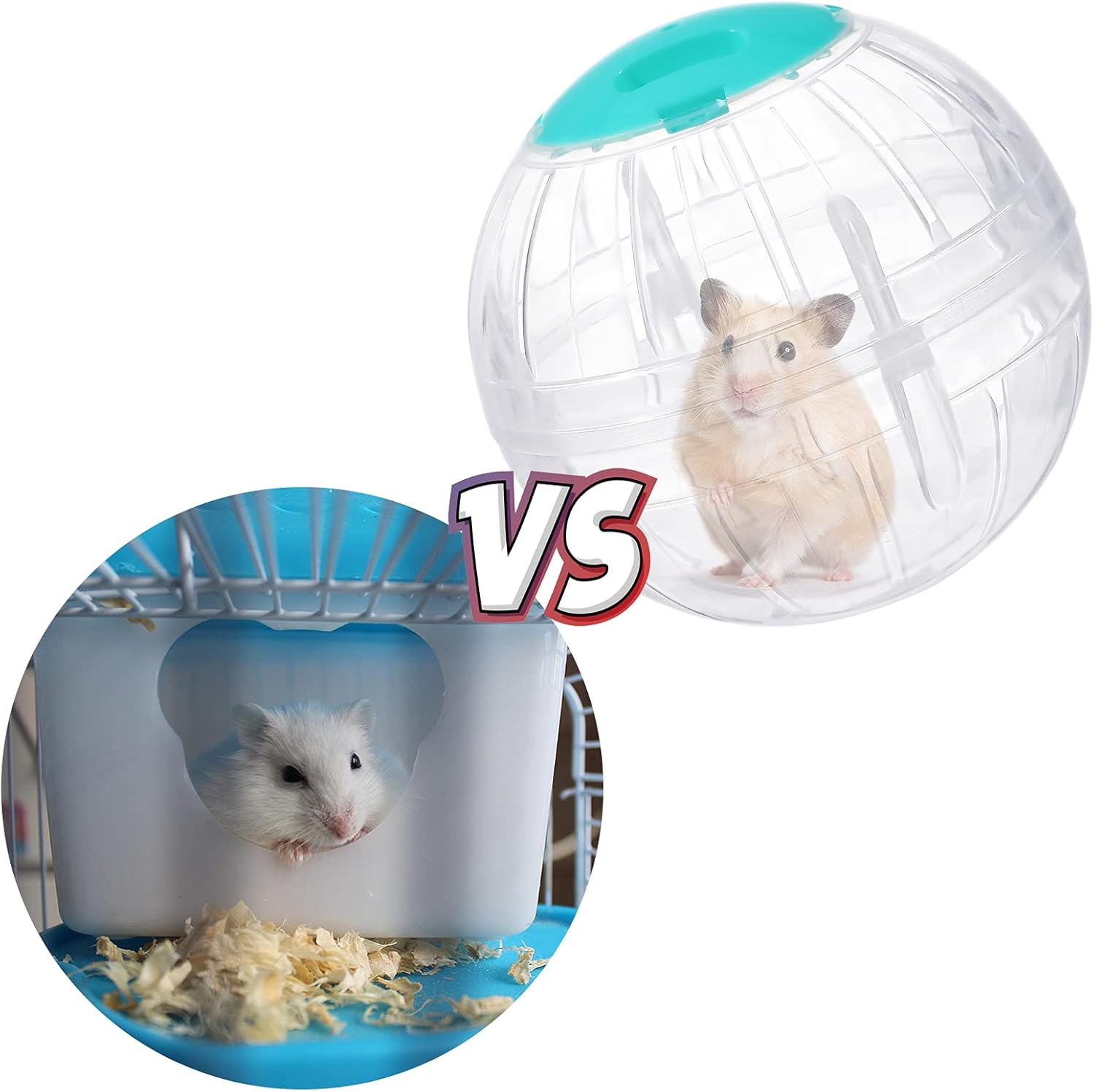 2 Pieces Hamster Ball Hamster Exercise Ball 5.7 Inch Guinea Pigs Running Balls Transparent Plastic Hamsters Wheel for Mini Dwarf Rabbits Small Pets to Reduce Boredom and Increase Activity - Happypetzone.online - Image 4