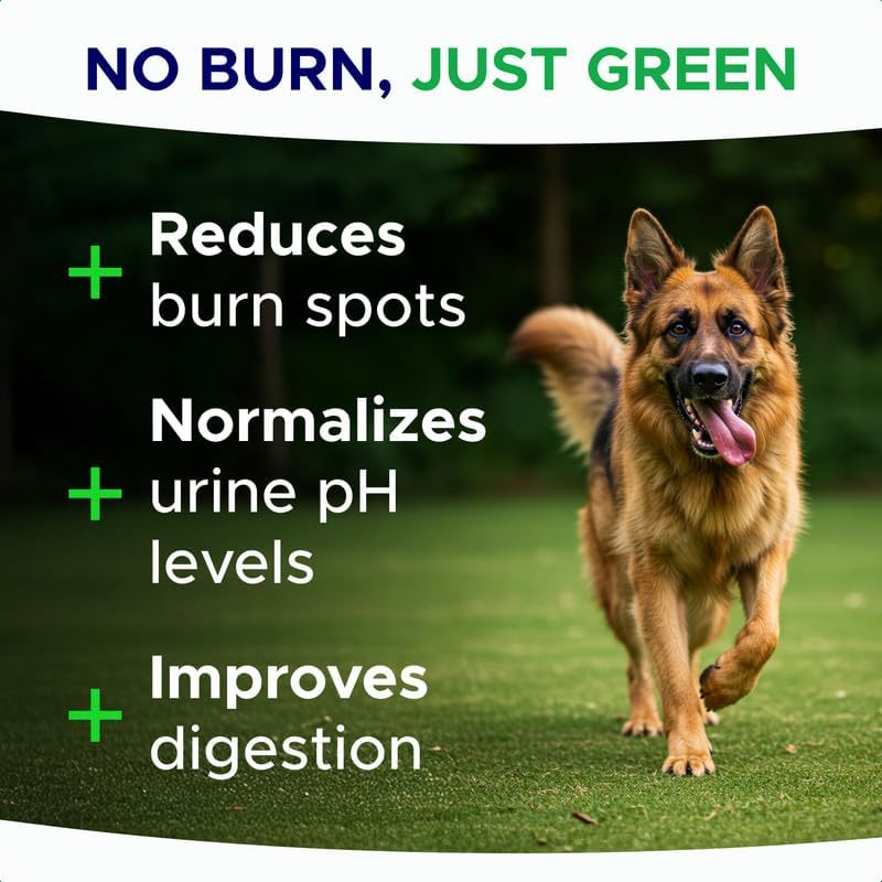 Green Grass Dog Chews for Lawn Protection – Dog Urine Neutralizer for Grass Burn Spots – Lawn Restore Treats – Made in USA – 120Ct Soft Chews - Happypetzone.online - Image 2