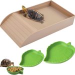 reptile food amazon best